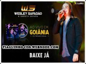 Wesley Safadão e Garota Safada - Ao vivo em Goiânia - 2015